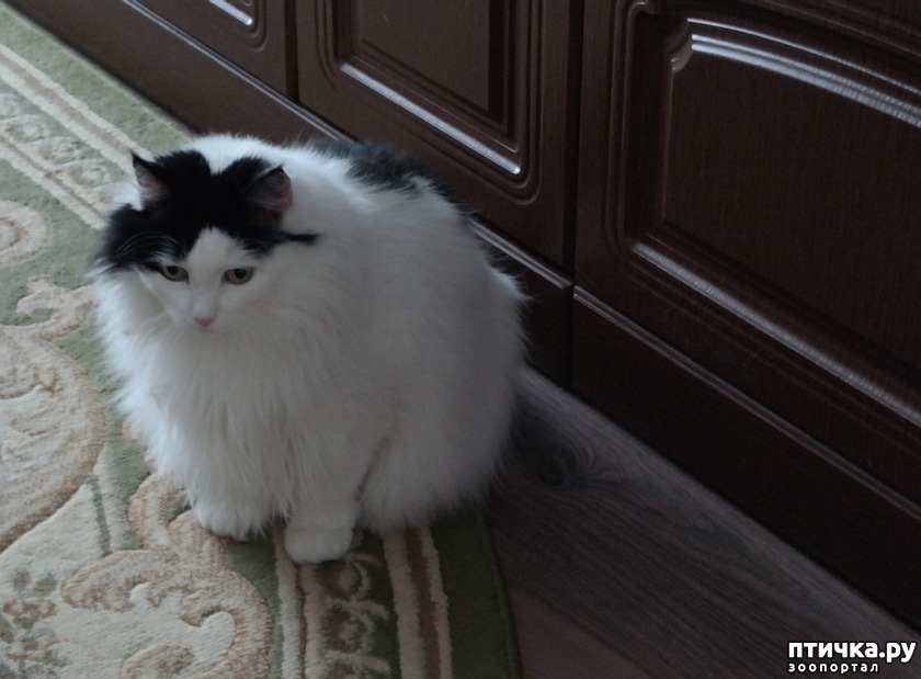 , 11 . .      .      ,     .  .