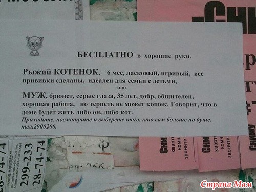 фотография 2: Почему мой муж не кот? фото 2: Почему мой муж не кот?