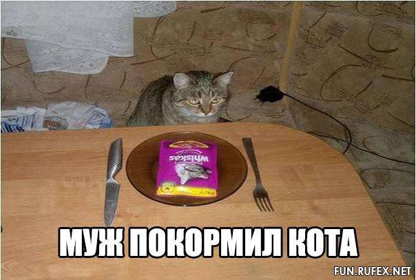 фотография 3: Почему мой муж не кот? фото 3: Почему мой муж не кот?