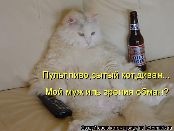 фотография 4: Почему мой муж не кот? фото 4: Почему мой муж не кот?