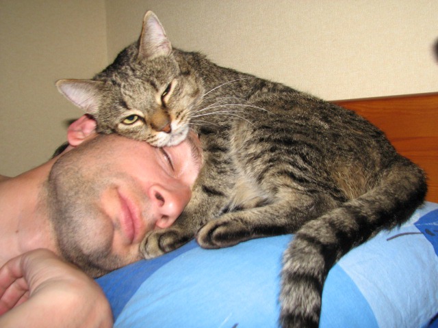фотография 10: Почему мой муж не кот? фото 10: Почему мой муж не кот?