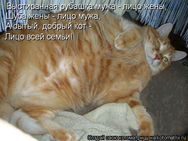 фотография 11: Почему мой муж не кот? фото 11: Почему мой муж не кот?