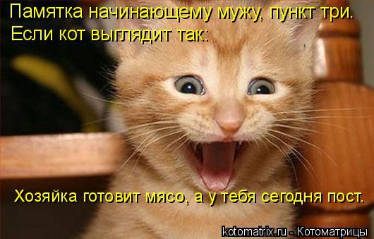 фотография 12: Почему мой муж не кот? фото 12: Почему мой муж не кот?