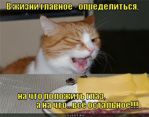 фотография 4: Котоматрица: Ну что, посмеемся на ночь глядя??? фото 4: Котоматрица: Ну что, посмеемся на ночь глядя???