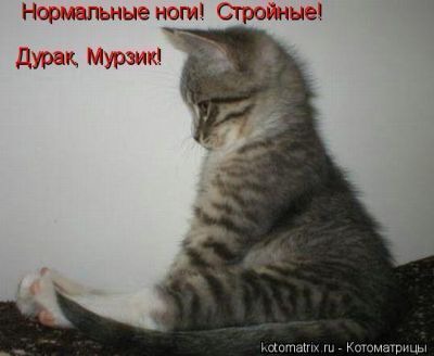 фотография 10: Котоматрица: Ну что, посмеемся на ночь глядя??? фото 10: Котоматрица: Ну что, посмеемся на ночь глядя???
