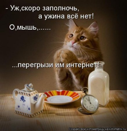 фотография 15: Котоматрица: Ну что, посмеемся на ночь глядя??? фото 15: Котоматрица: Ну что, посмеемся на ночь глядя???