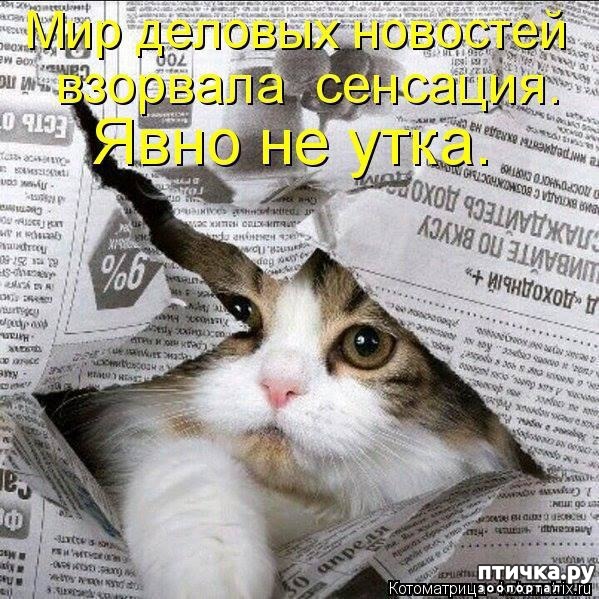 фотография 3: Дети нарисовали для кошки газету, чтобы она читала её))) фото 3: Дети нарисовали для кошки газету, чтобы она читала её)))