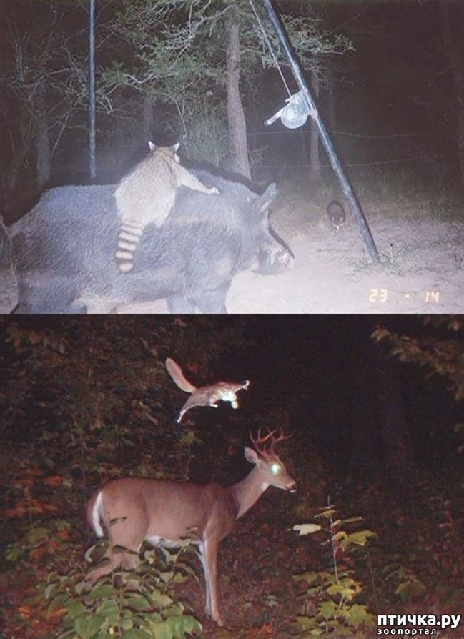 ���� 2: �����������