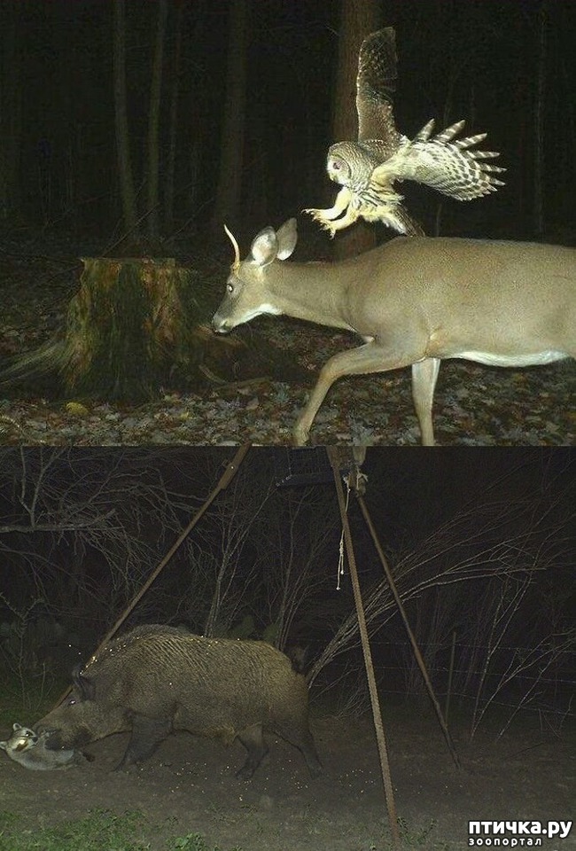 ���� 6: �����������