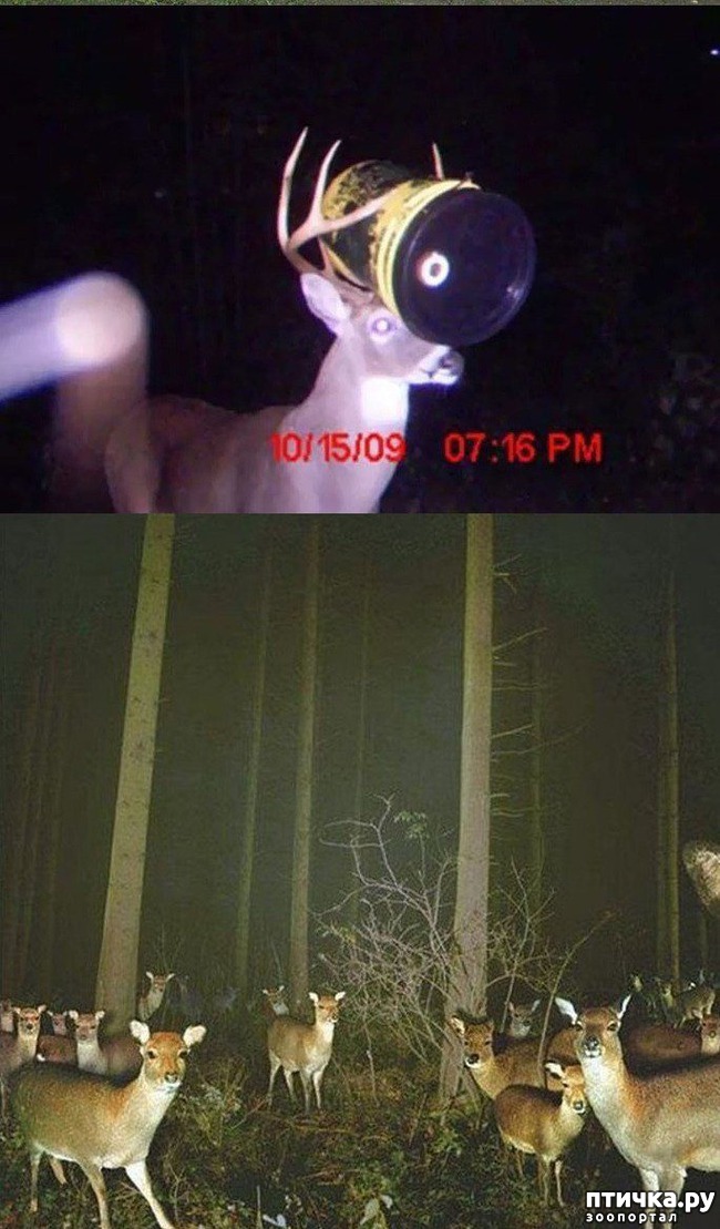 ���� 7: �����������