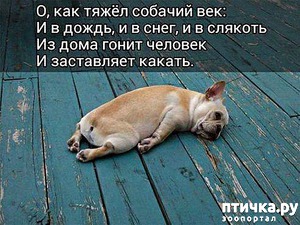 ����: �� �������� �� ����������