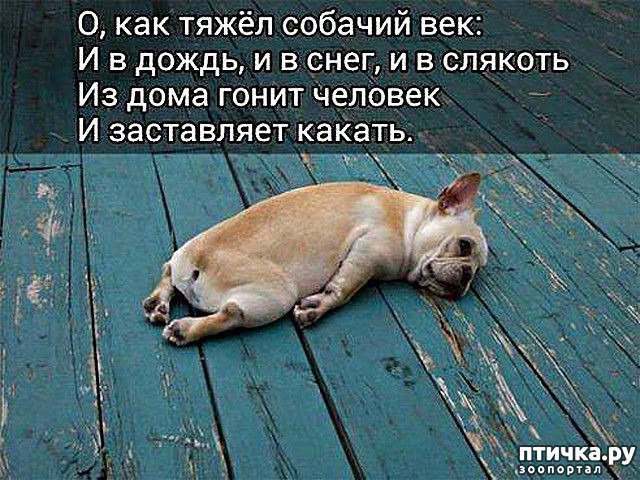 ���� 1: �� �������� �� ����������