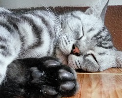 ˸.   .