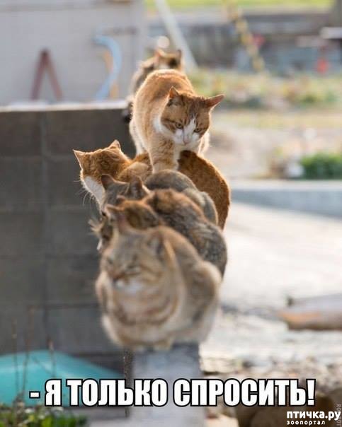 ���� 8: �� �������� �� ����������