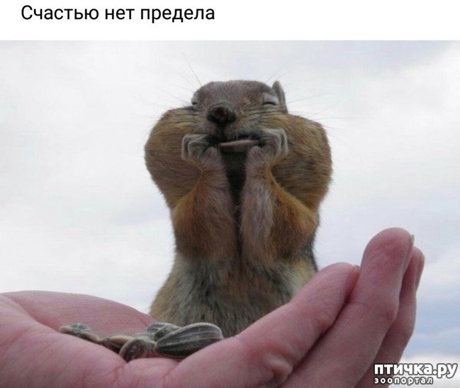 ���� 5: �� �������� �� ����������