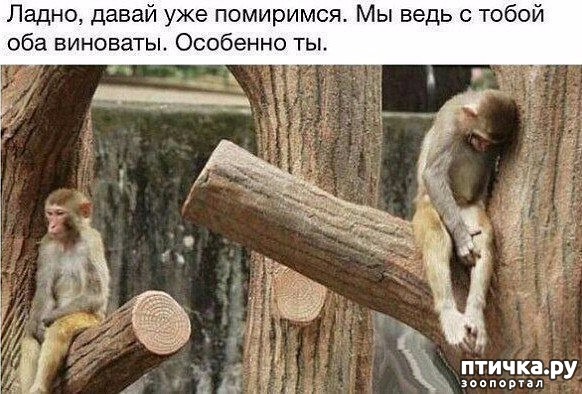 ���� 6: �� �������� �� ����������