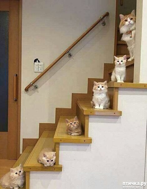 ���� 7: �� �������� �� ����������