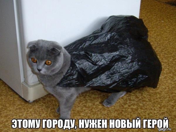 фотография 3: А вы не забыли про пятничную котоматрицу??? фото 3: А вы не забыли про пятничную котоматрицу???