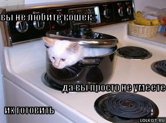 фотография 8: А вы не забыли про пятничную котоматрицу??? фото 8: А вы не забыли про пятничную котоматрицу???
