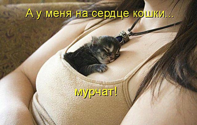 фотография 12: А вы не забыли про пятничную котоматрицу??? фото 12: А вы не забыли про пятничную котоматрицу???
