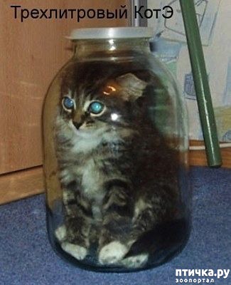 ���� 2: �������� �� ����