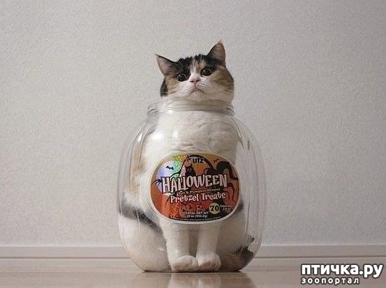 ���� 4: �������� �� ����