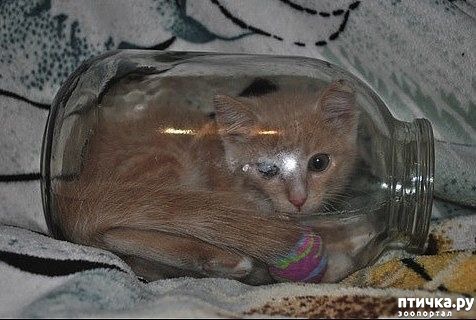 ���� 5: �������� �� ����