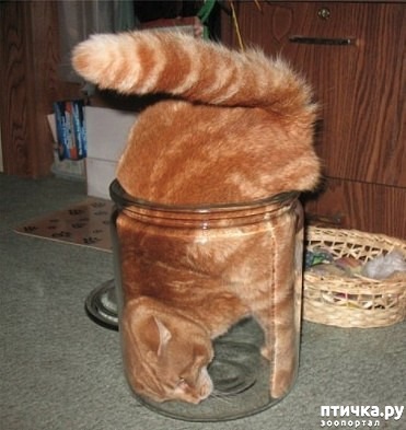 ���� 6: �������� �� ����