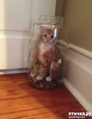 ���� 7: �������� �� ����