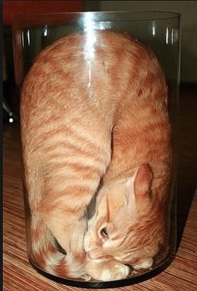 ���� 8: �������� �� ����