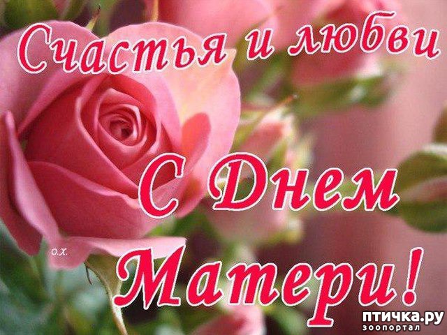 фотография 20: Самые заботливые мамы фото 20: Самые заботливые мамы