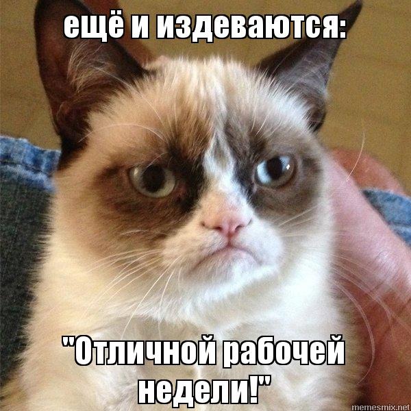фотография 13: Котоматрица: Удачного начала рабочей недели!!! фото 13: Котоматрица: Удачного начала рабочей недели!!!