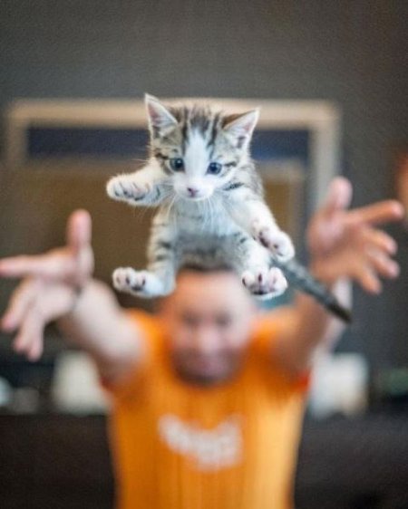 фотография 6: Котоматрица: Удачного начала рабочей недели!!! фото 6: Котоматрица: Удачного начала рабочей недели!!!