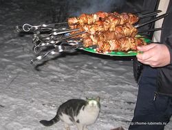 фотография: Хозяйке где-то бог послал кусочек мяса фото: Хозяйке где-то бог послал кусочек мяса
