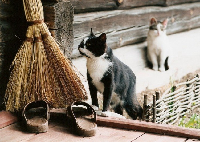 ���� 2: ����� ������������ ����.