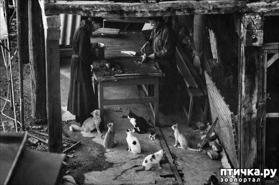 ���� 1: ���� ������ ���� ����: ������ ������������