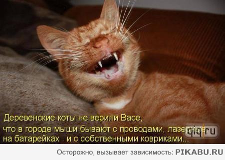 ���� 5: ����� ������������ ����.