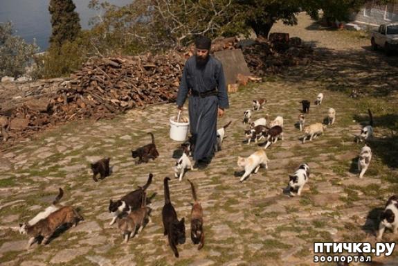 ���� 3: ���� ������ ���� ����: ������ ������������