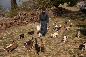 ����: ���� ������ ���� ����: ������ ������������