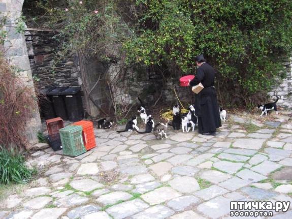 ���� 4: ���� ������ ���� ����: ������ ������������