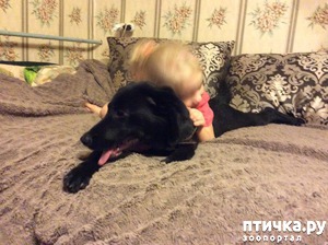 ����: ������ �� �������� � ������ �� �����