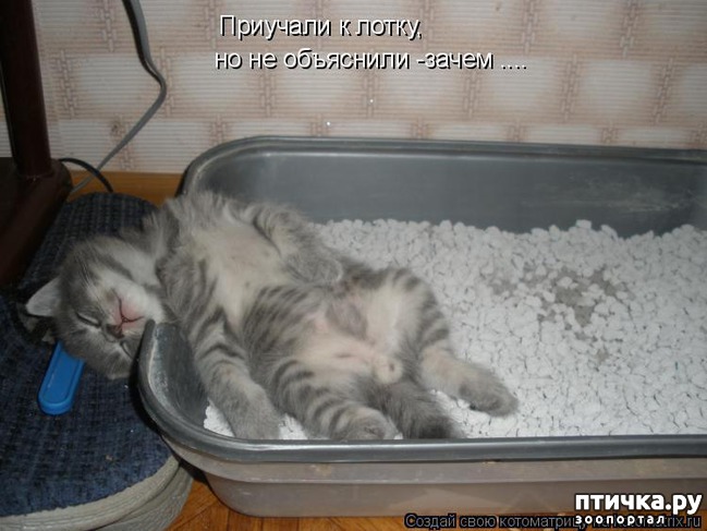 ���� 1: � ������ � ��������� ��� ��������� ��������, ���� � ����� � ������?