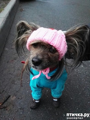 ����: � �� ������� ��������!