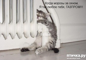 ����: � ������ � ��������� ��� ��������� ��������, ���� � ����� � ������?