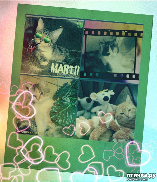 фотография 1: Мы - семья! фото 1: Мы - семья!