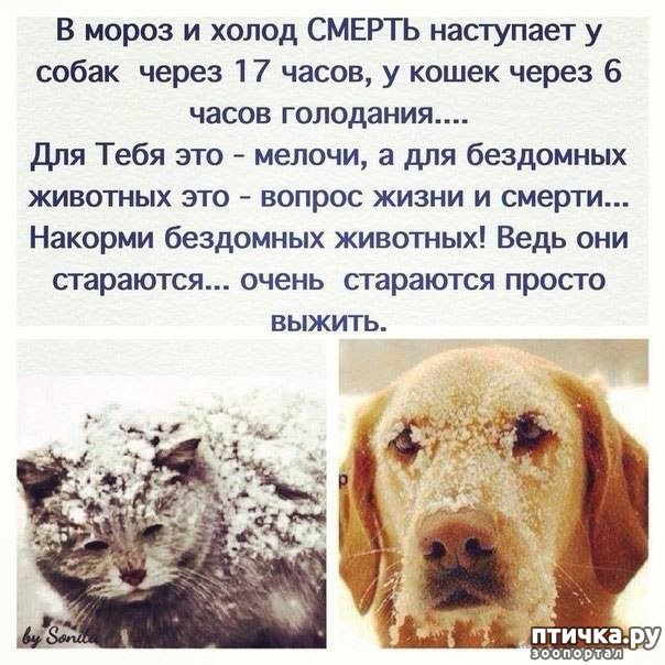 фотография 1: Это важно! фото 1: Это важно!