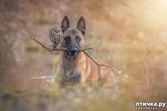 ���� 1: ������ � ����, ������� �� ����� ���� ���� ��� �����