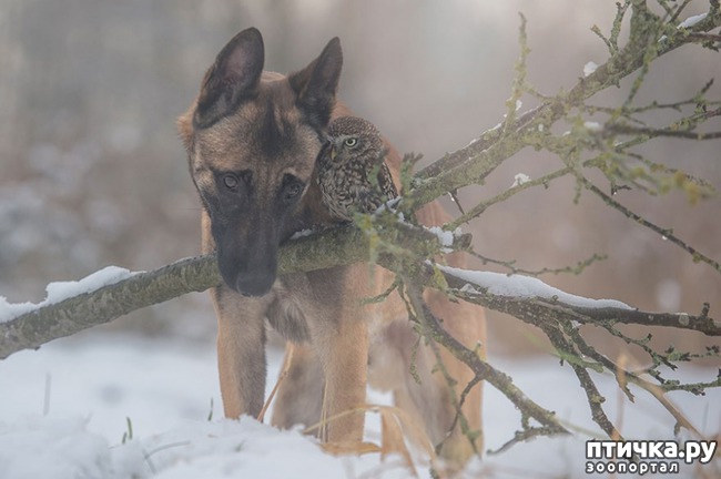 ���� 3: ������ � ����, ������� �� ����� ���� ���� ��� �����