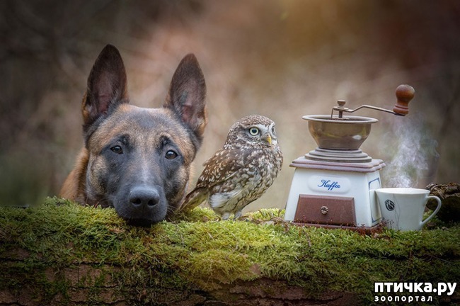 ���� 5: ������ � ����, ������� �� ����� ���� ���� ��� �����