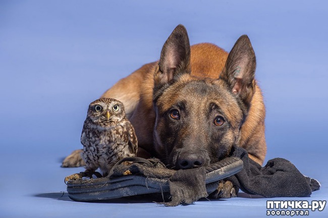 ���� 7: ������ � ����, ������� �� ����� ���� ���� ��� �����